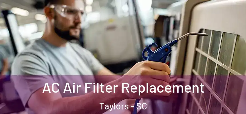  AC Air Filter Replacement Taylors - SC