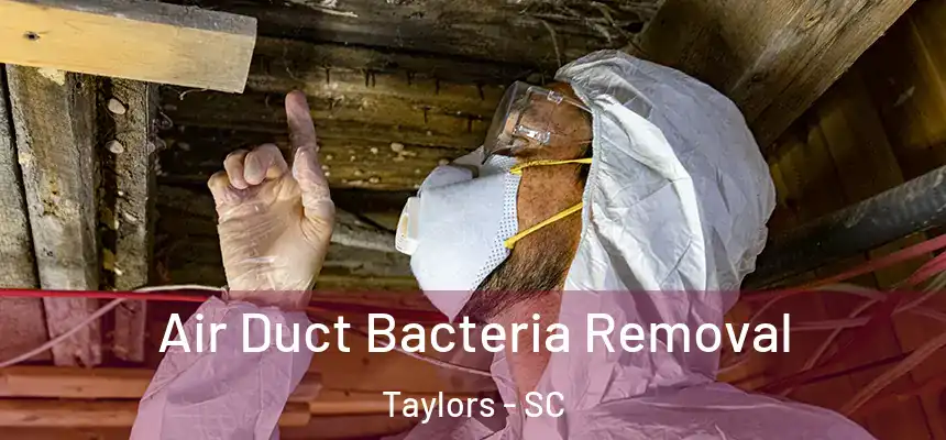  Air Duct Bacteria Removal Taylors - SC