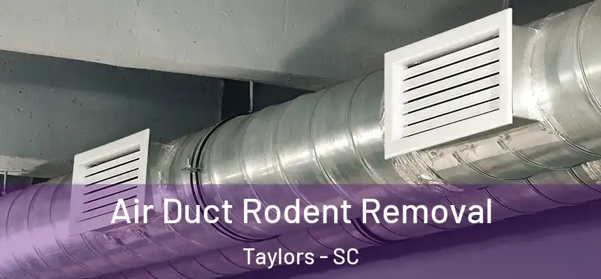  Air Duct Rodent Removal Taylors - SC