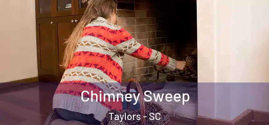  Chimney Sweep Taylors - SC