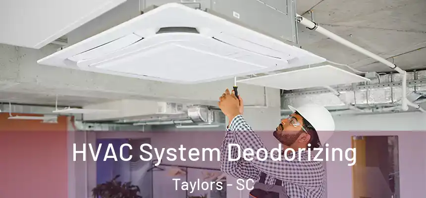  HVAC System Deodorizing Taylors - SC