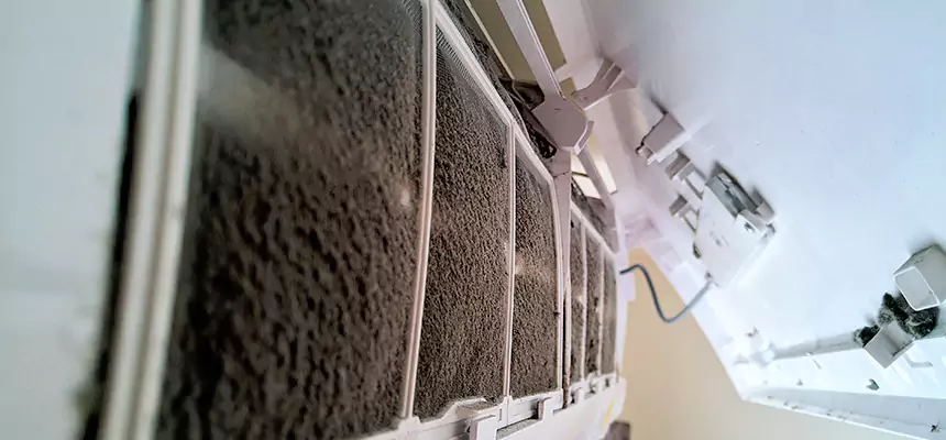 Preventive Air Duct Bacteria Removal in Taylors