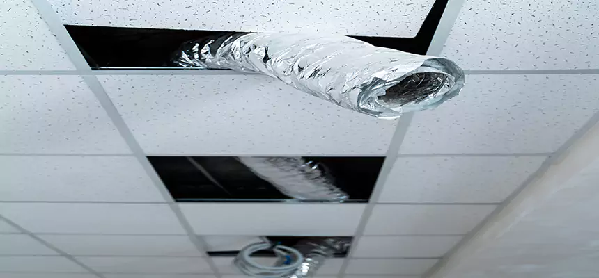 Our Air Duct Pet Hair Removal Services in Taylors, SC