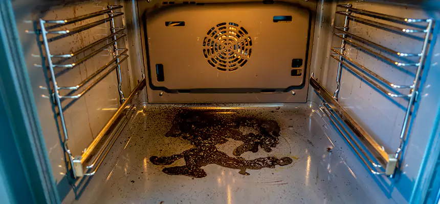 Our Dryer Vent Mold Cleaning Services in Taylors, SC