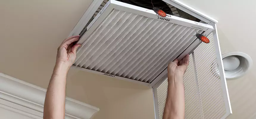 Our Insect Removal from Air Ducts Services in Taylors, SC
