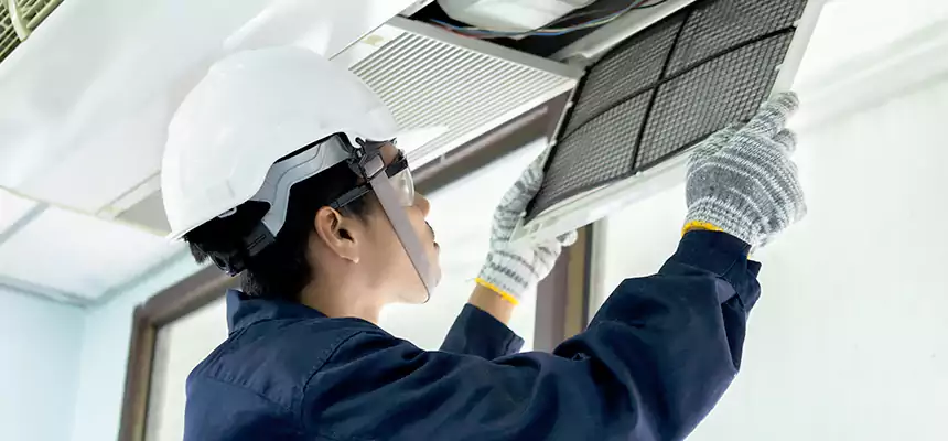 Our Mold & Mildew Removal from Air Ducts Services in Taylors, SC