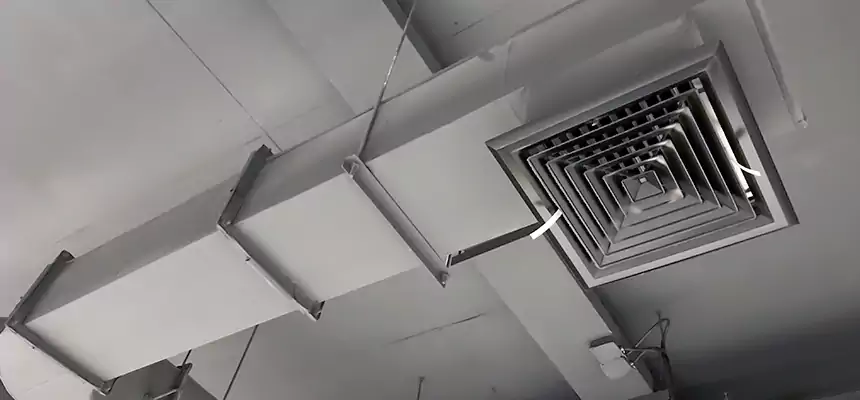 Our Pest Removal From Ducts Services in Taylors, SC