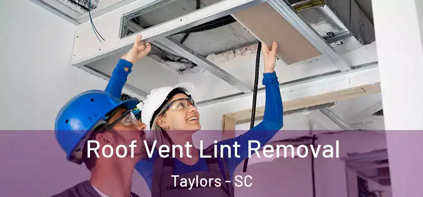  Roof Vent Lint Removal Taylors - SC
