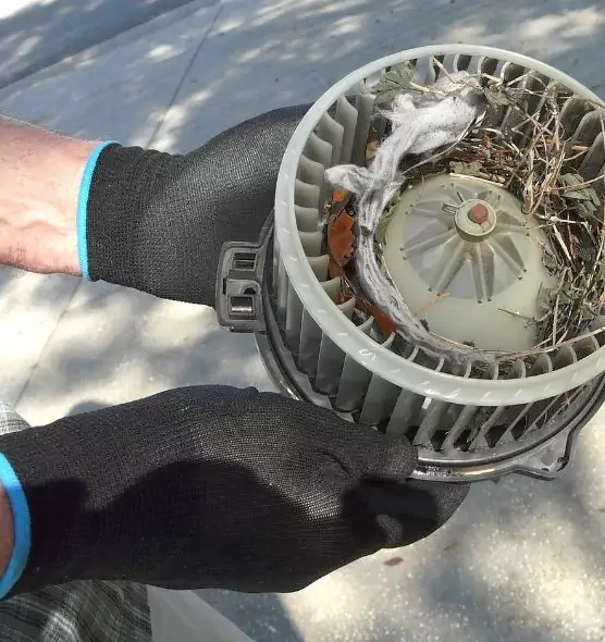 About Air Duct Mice Removal in Taylors, SC