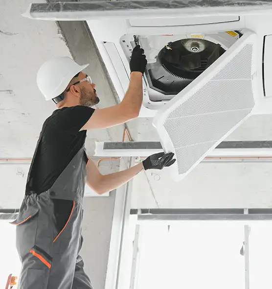 About Air Duct Rodent Removal in Taylors, SC