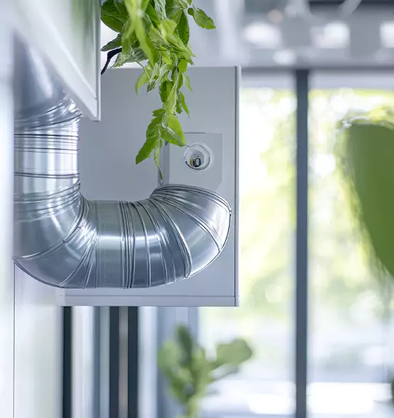 Professional Eco-Safe Dryer Vent Cleaning in Taylors, SC