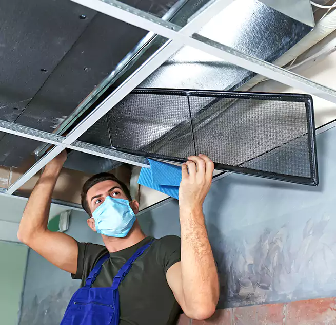 Why Homeowners Businesses Trust Us in Taylors, SC