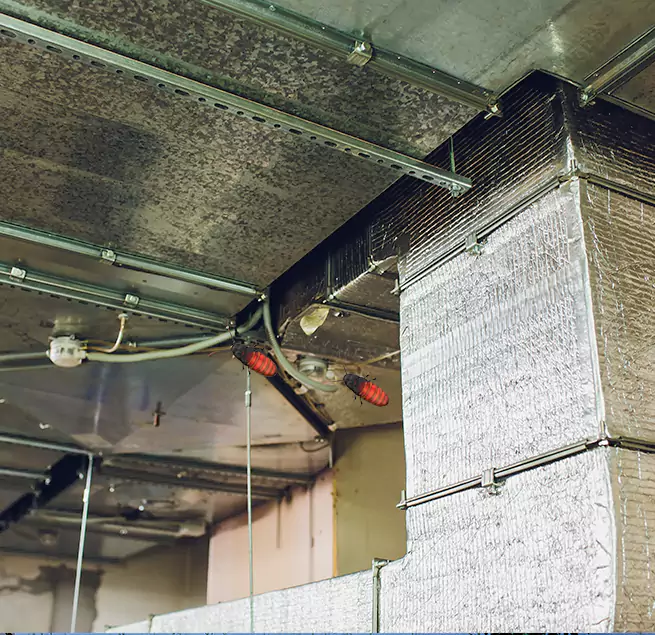 Why Homeowners & Businesses Trust Us Taylors, SC?