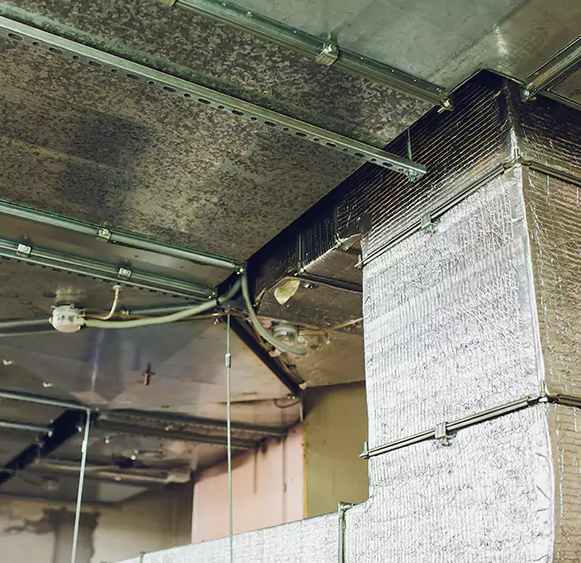 Why Homeowners & Businesses Trust Us in Taylors, SC?