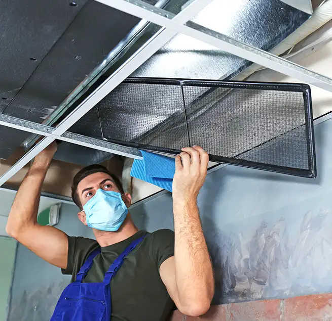 Why Homeowners & Businesses Trust Us in Taylors, SC?