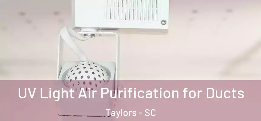  UV Light Air Purification for Ducts Taylors - SC